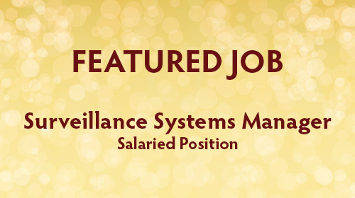 Surveillance Systems Manager