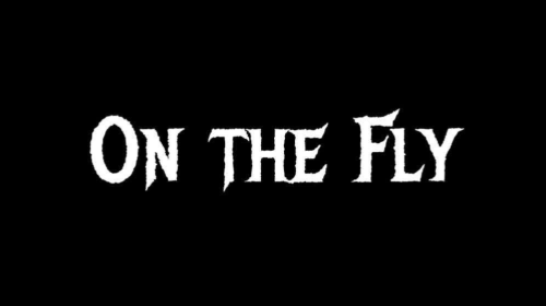 On The Fly